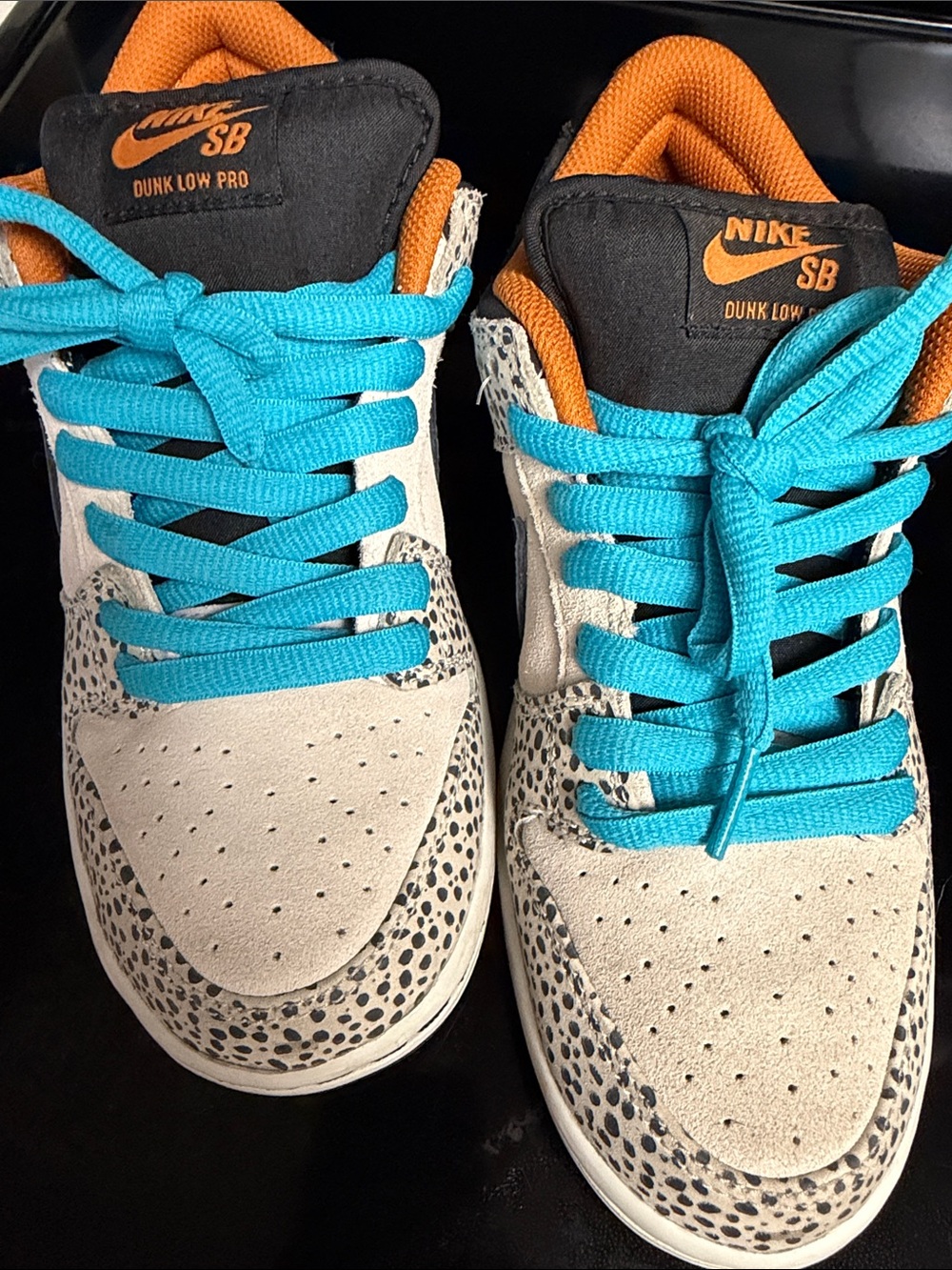 Kids Nike Safari SB Dunks size 6
